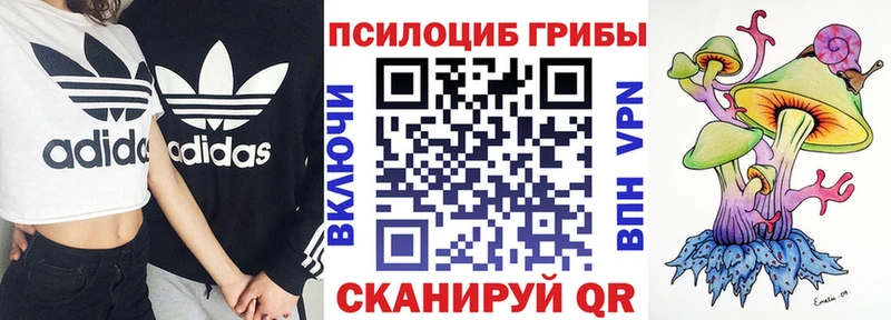 Псилоцибиновые грибы мухоморы  Купить закладки  Петров Вал 
